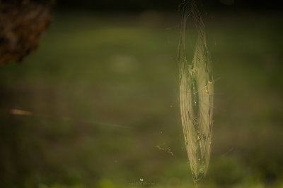 Gala jubileuszu 170-lecia